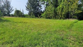 420 NE 20th St, Cape Coral, FL 33909