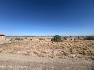 LOT 271 Road 3787, Farmington, NM 87401