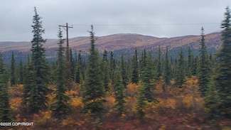 Mi 168 Glenn Hwy, Glennallen, AK 99588