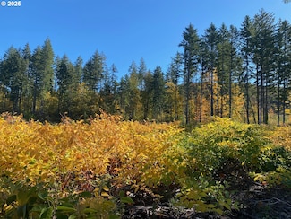 0 S Hult Rd, Beavercreek, OR 97004