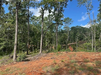 Lot 2 Yancy Dr, Dawsonville, GA 30534