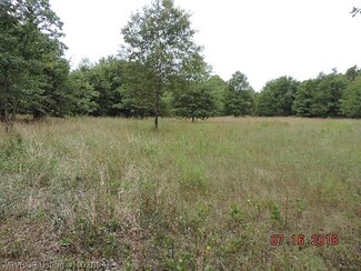 TBD Philpot Rd, Ozark, AR 72949