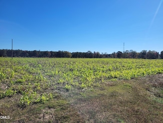 2614 Buffalo Rd, Smithfield, NC 27577