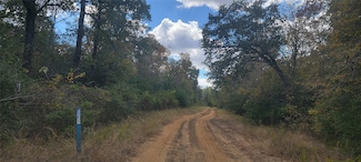 22.37AC. Private Road 1100, Leona, TX 75850