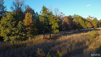 0 Bb Hwy Unit MIS25073604, Fairdealing, MO 63945