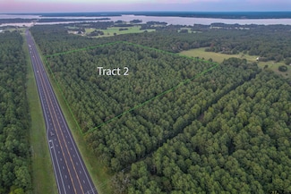 Tract 2 State Highway 155, Frankston, TX 75763