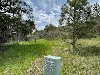 TBD-2 Vine Mesa Ave, Beulah, CO 81023
