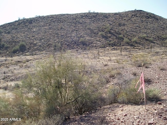 29625 W Carefree Hwy Unit 6, Unincorporated County, AZ 85361