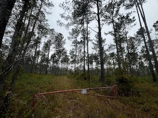 0 Us Hwy 17 Unit A LotWP001, Walterboro, SC 29488