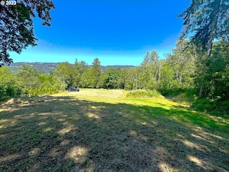 4008 NW 402nd St, Woodland, WA 98674