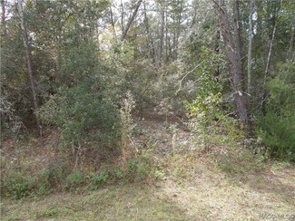 1682 E Humphrey Ln, Hernando, FL 34442