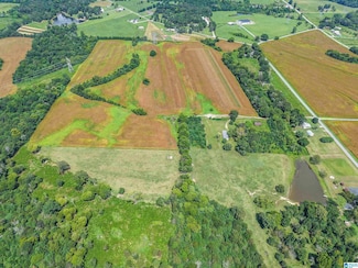 0 Rice Mill Chavers Rd Unit 21430593, Albertville, AL 35951