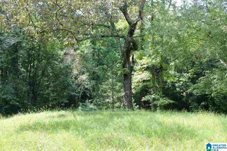 17560 Alabama 145, Shelby, AL 35143