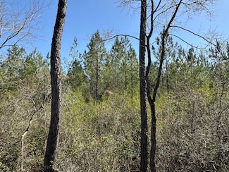 Tract#6417 Brock Rd, Caryville, FL 32427
