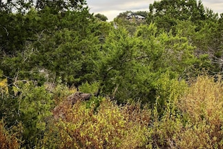 13910 Saskatchewan Dr, Austin, TX 78734