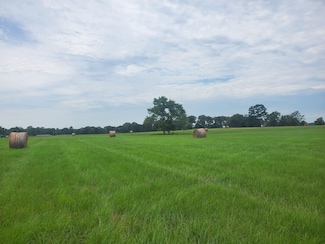 0 Tbd Cr 4221, Frankston, TX 75763