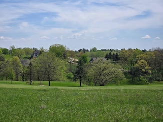 14A20 Marina View Dr, Apple Canyon Lake, IL 61001