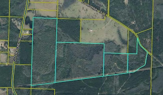 TBD E County Hwy 181, Westville, FL 32464