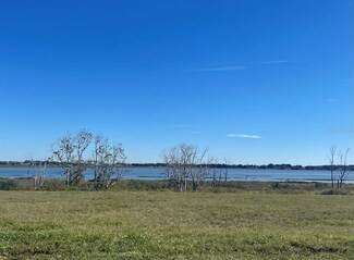 280 Caladium Ave, Lake Alfred, FL 33850