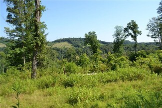 0 McIlwain Rd Unit 1293709, Burrell Township, PA 16226