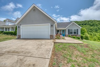 210 Bradford Ln, Bristol, TN 37620