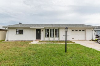 1805 Hibiscus Ct N, Oldsmar, FL 34677