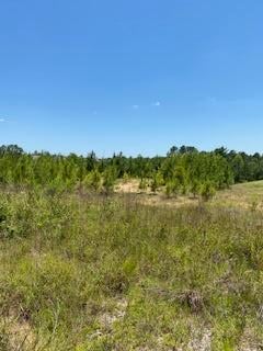 8 Stanley Rd Unit Lot 8, Leesville, LA 71446