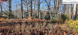 TBD Wildwood Place, Blowing Rock, NC 28605
