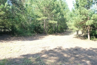 0 Irene Unit LotWP005 20970260, Summit, MS 39666