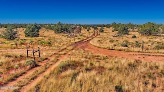 566 N Kaibab Rd, Williams, AZ 86046
