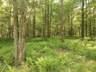 0 Boone Mountain - Heigel Road Rd Unit 4 25-179, Kersey, PA 15846