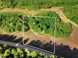 0025 Heather Ridge Trail, Beulah, MI 49617