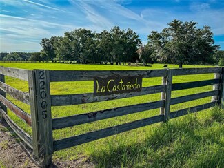22005 NW 165th Ave, High Springs, FL 32643