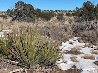 211 Windmill Ranch, Ancho, NM 88301