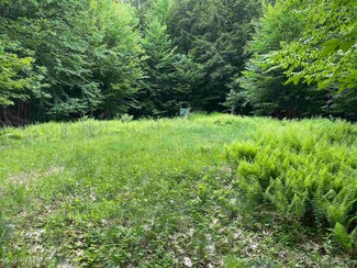 1 Weeks Crossing Rd, Warren, NH 03279