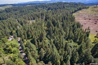 0 Fort Hill Rd Unit 706794, Willamina, OR 97396