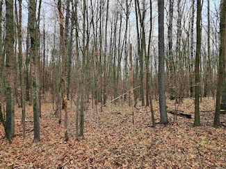 Lot 782 Elkhorn Way, Lincoln Township, MI 48622