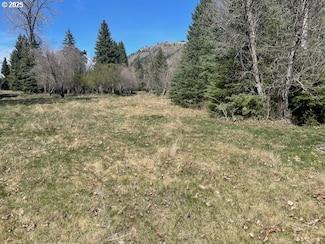 0 Fir Rd, Lostine, OR 97857
