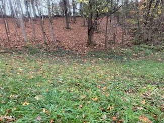 126 Maple Crest, Greeneville, TN 37743