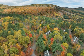 72 Cranmore Woods Ln Unit 4, Conway, NH 03860