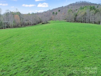 99999 Clarke Rd, Asheville, NC 28805