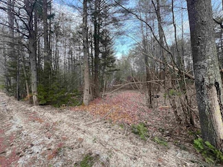 0 Spa Rd, Danbury, NH 03230