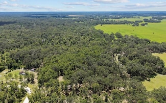 Lot 27 NE 489th St, Old Town, FL 32680