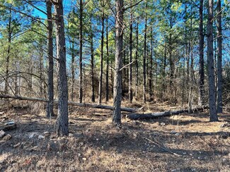 538 Lukfata Fork Trail, Broken Bow, OK 74728