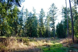 99999 Lillian St, ChiMacUm, WA 98325