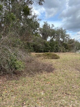 220 Oak Ridge Dr, Welaka, FL 32193