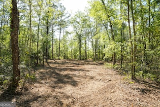 0 Floyd Rd Unit LOT 8 10493967, Pembroke, GA 31321