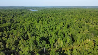 0 Brodies Landing Rd Unit RTC2705557, Parsons, TN 38363