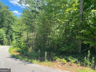 0 Arrendale Dr Unit 10463874, Tiger, GA 30576
