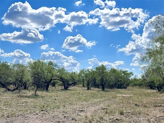 TBD Tba County Road 100, Abilene, TX 79601